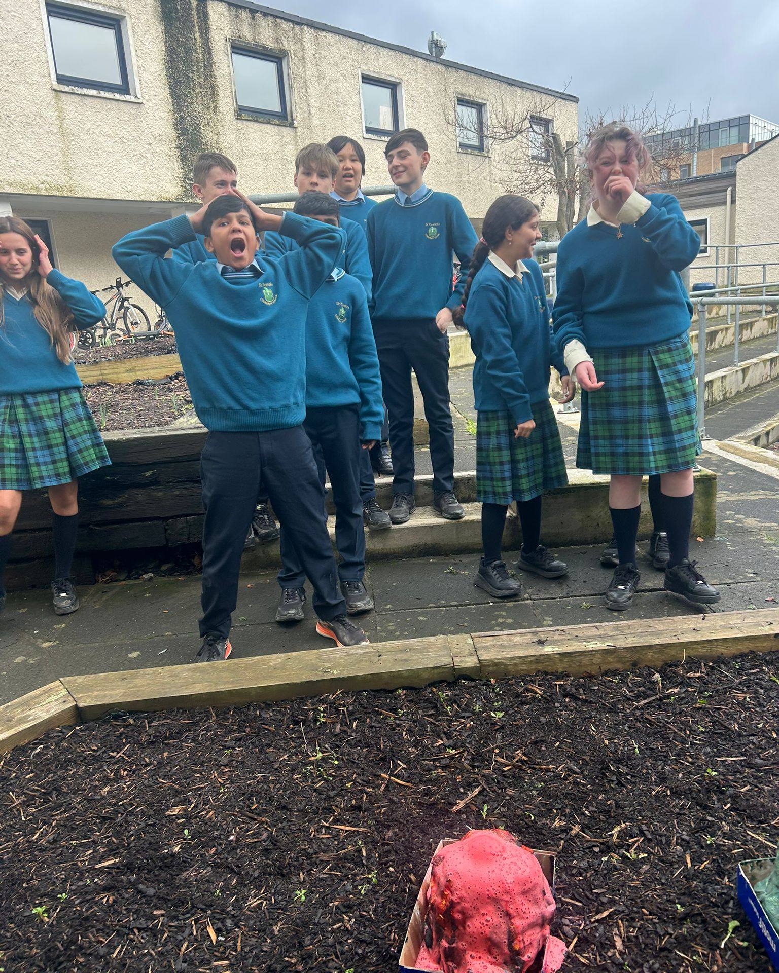 St Tiernan's Community School