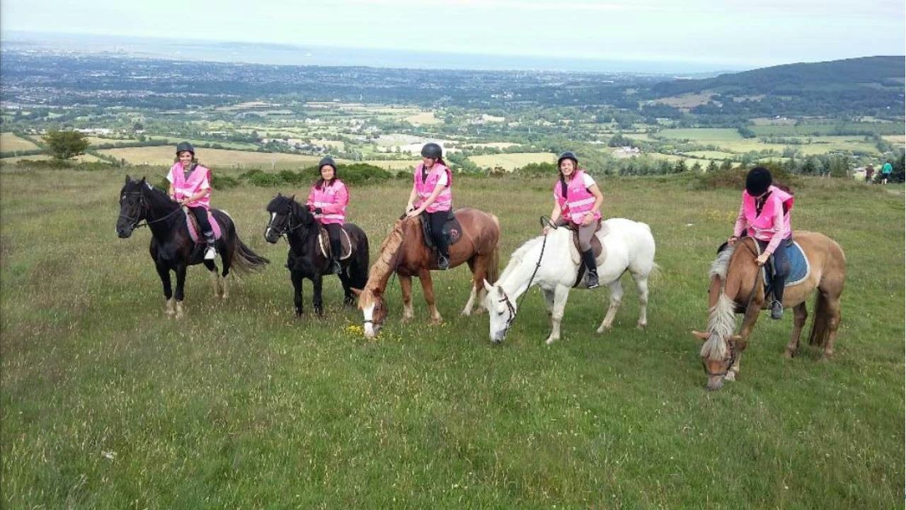 Horse Riding Camp